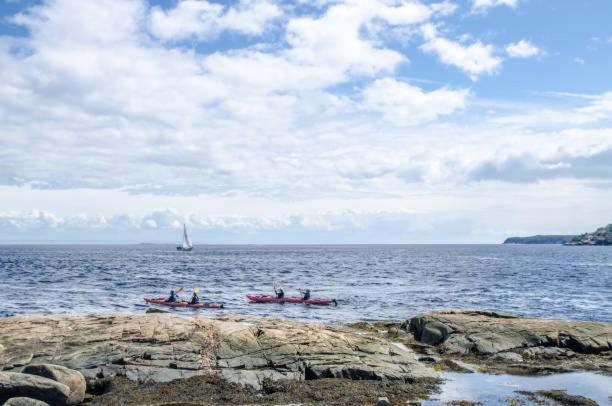 Motel De L'Anse A L'Eau Tadoussac Eksteriør bilde